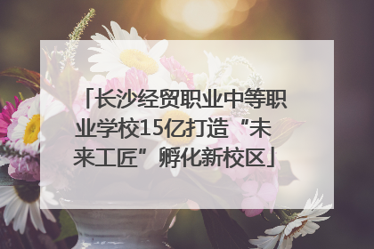 长沙经贸职业中等职业学校15亿打造“未来工匠”孵化新校区