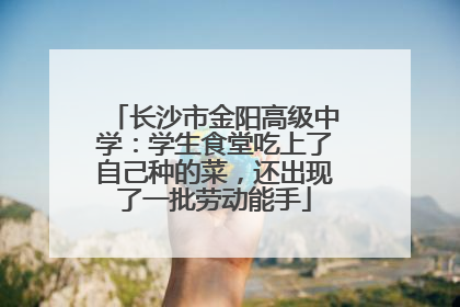 长沙市金阳高级中学：学生食堂吃上了自己种的菜，还出现了一批劳动能手