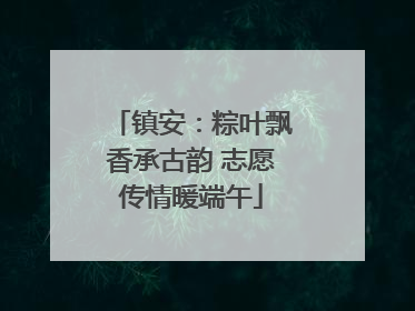 镇安：粽叶飘香承古韵 志愿传情暖端午