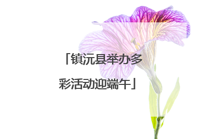 镇沅县举办多彩活动迎端午