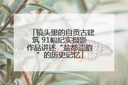 镜头里的自贡古建筑 91幅纪实摄影作品讲述“盐都遗韵”的历史记忆