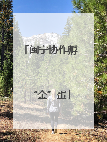 闽宁协作孵“金”蛋