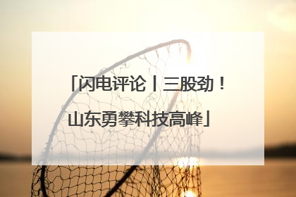 闪电评论丨三股劲！山东勇攀科技高峰