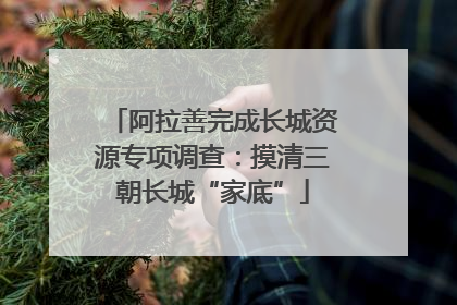 阿拉善完成长城资源专项调查：摸清三朝长城“家底”