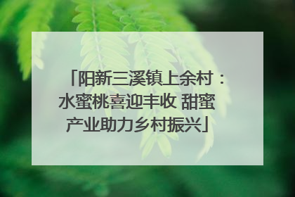 阳新三溪镇上余村：水蜜桃喜迎丰收 甜蜜产业助力乡村振兴