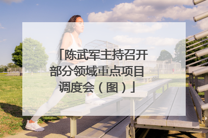 陈武军主持召开部分领域重点项目调度会（图）