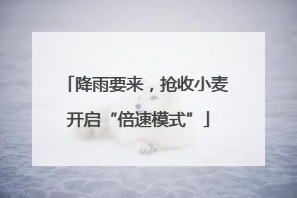 降雨要来，抢收小麦开启“倍速模式”