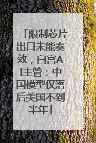 限制芯片出口未能奏效，白宫AI主管：中国模型仅落后美国不到半年