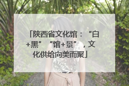 陕西省文化馆：“白+黑”“馆+景”，文化供给向美而聚