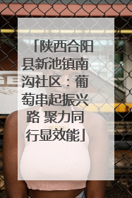 陕西合阳县新池镇南沟社区：葡萄串起振兴路 聚力同行显效能