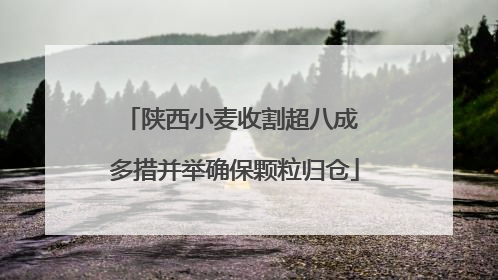 陕西小麦收割超八成 多措并举确保颗粒归仓