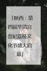 陕西：第四届华清宫贵妃荔枝文化节盛大启幕