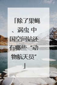 除了果蝇、涡虫 中国空间站还有哪些“动物航天员”