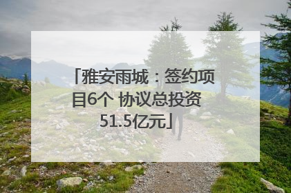 雅安雨城：签约项目6个 协议总投资51.5亿元
