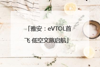 雅安：eVTOL首飞 低空文旅启航