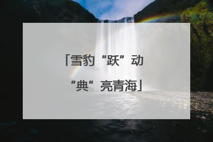 雪豹“跃”动 “典”亮青海