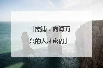 霞浦：向海而兴的人才密码
