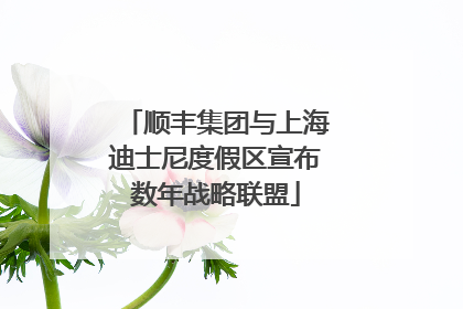 顺丰集团与上海迪士尼度假区宣布数年战略联盟