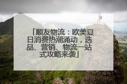 顺友物流：欧美夏日消费热潮涌动，选品、营销、物流一站式攻略来袭