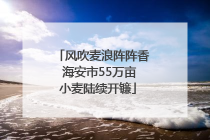 风吹麦浪阵阵香 海安市55万亩小麦陆续开镰