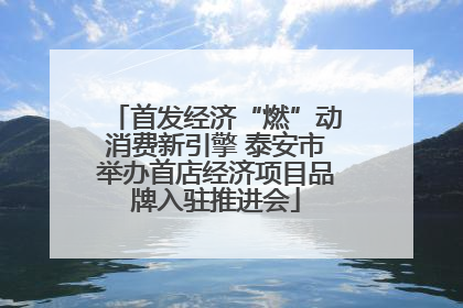 首发经济“燃”动消费新引擎 泰安市举办首店经济项目品牌入驻推进会