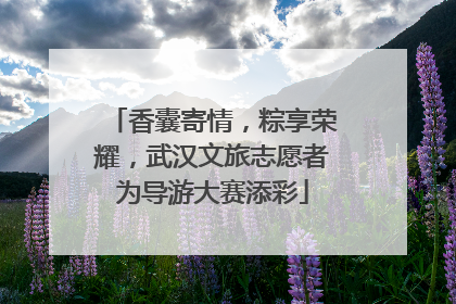 香囊寄情，粽享荣耀，武汉文旅志愿者为导游大赛添彩