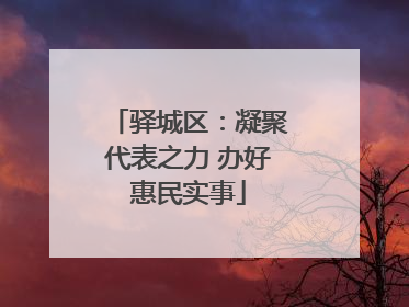 驿城区：凝聚代表之力 办好惠民实事
