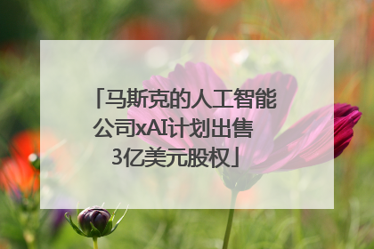 马斯克的人工智能公司xAI计划出售3亿美元股权