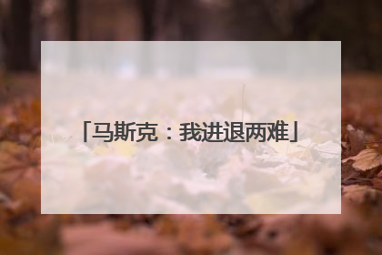 马斯克：我进退两难