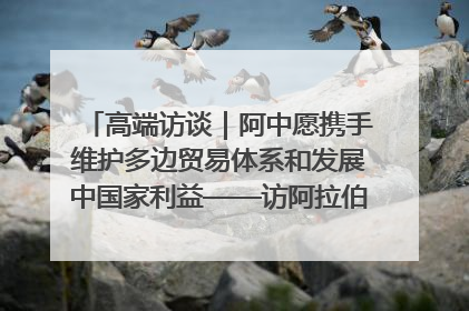 高端访谈｜阿中愿携手维护多边贸易体系和发展中国家利益——访阿拉伯议会议长亚马希
