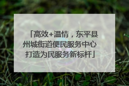 高效+温情，东平县州城街道便民服务中心打造为民服务新标杆
