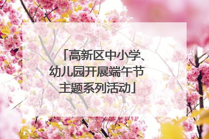 高新区中小学、幼儿园开展端午节主题系列活动