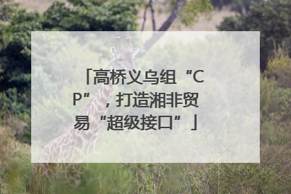 高桥义乌组“CP”，打造湘非贸易“超级接口”