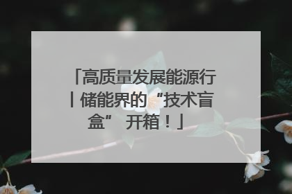 高质量发展能源行丨储能界的“技术盲盒” 开箱！