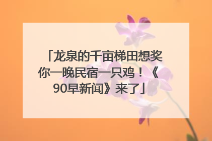 龙泉的千亩梯田想奖你一晚民宿一只鸡！《90早新闻》来了
