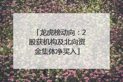 龙虎榜动向：2股获机构及北向资金集体净买入
