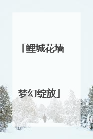 鲤城花墙 梦幻绽放