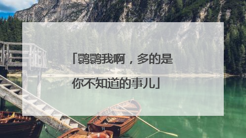 鹮鹮我啊，多的是你不知道的事儿