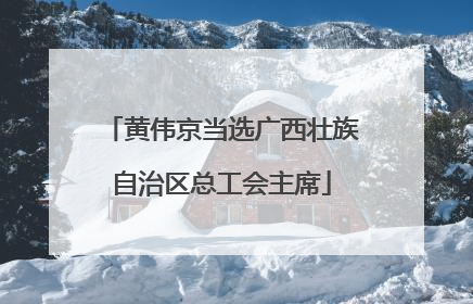黄伟京当选广西壮族自治区总工会主席