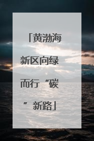 黄渤海新区向绿而行“碳”新路