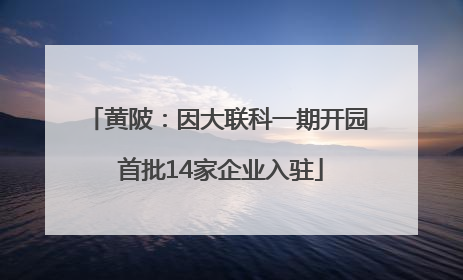 黄陂：因大联科一期开园 首批14家企业入驻