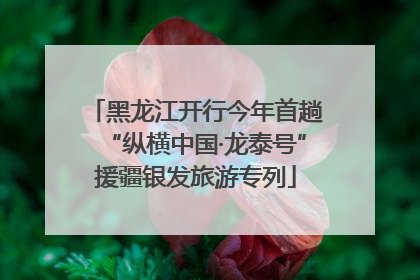 黑龙江开行今年首趟“纵横中国·龙泰号”援疆银发旅游专列