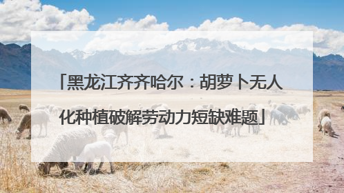 黑龙江齐齐哈尔：胡萝卜无人化种植破解劳动力短缺难题
