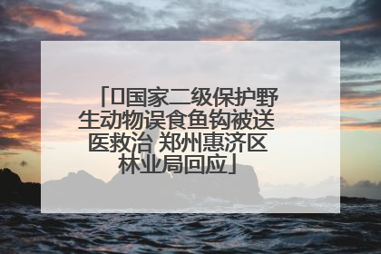 ﻿国家二级保护野生动物误食鱼钩被送医救治 郑州惠济区林业局回应