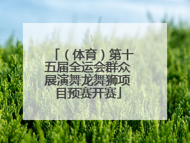 （体育）第十五届全运会群众展演舞龙舞狮项目预赛开赛