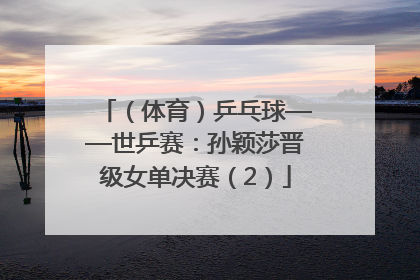 （体育）乒乓球——世乒赛：孙颖莎晋级女单决赛（2）
