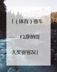 （体育）赛车——F1摩纳哥大奖赛赛况
