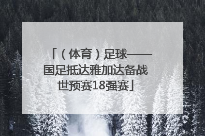 (体育)足球——国足抵达雅加达备战世预赛18强赛