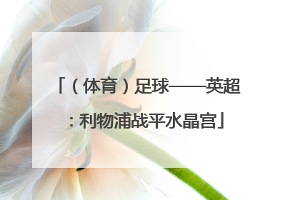 （体育）足球——英超：利物浦战平水晶宫