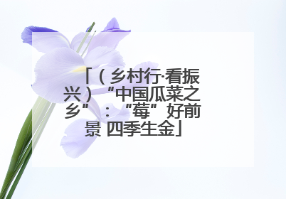 （乡村行·看振兴）“中国瓜菜之乡”：“莓”好前景 四季生金